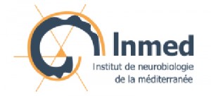Institut de Neurobiologie de la Méditerranée