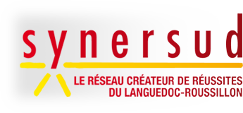 Synersud