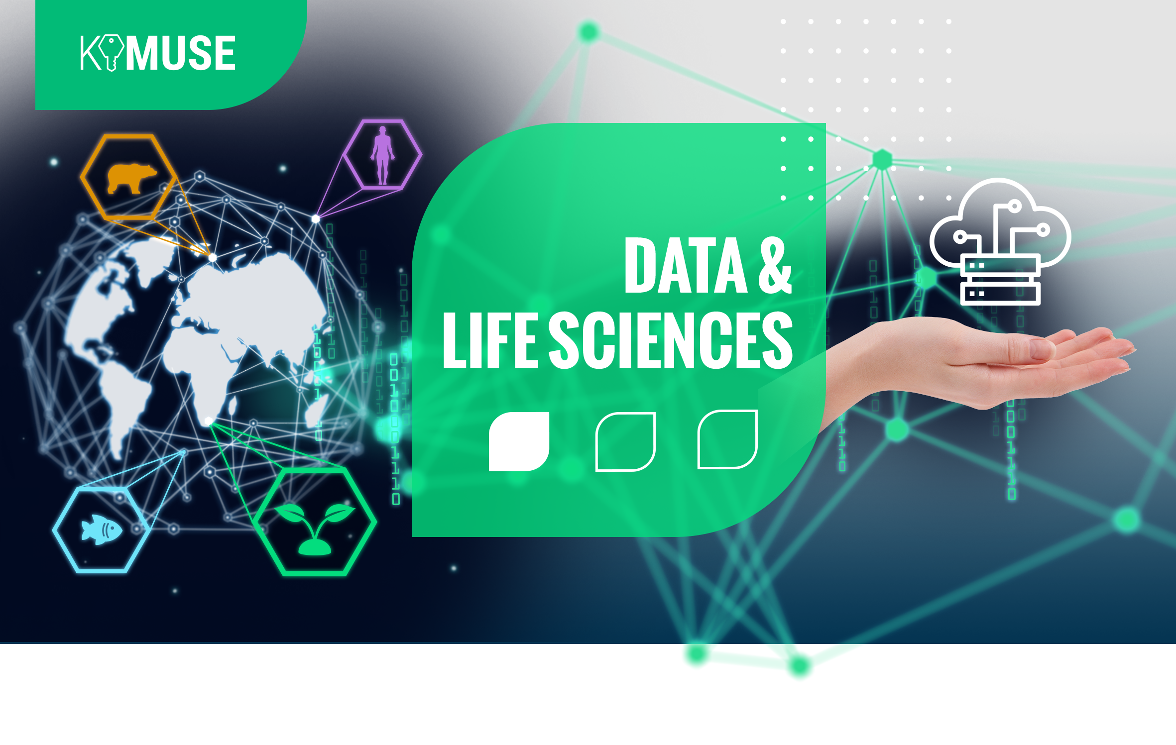 Post-doctoral fellowships from the Key Initiative MUSE Data & Life Sciences