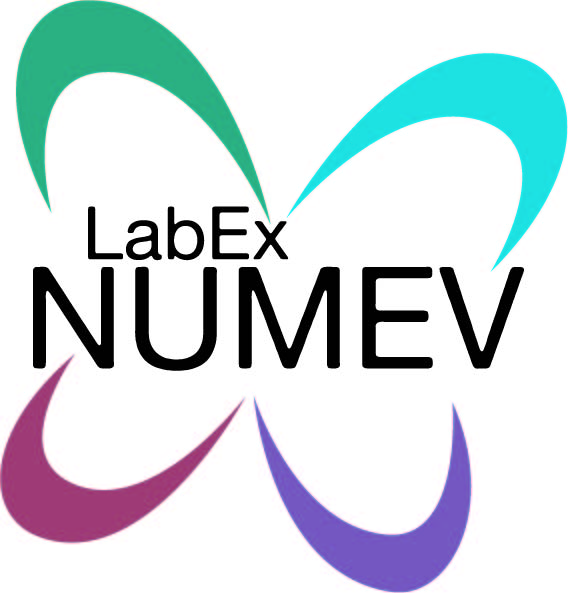 Labex Numev